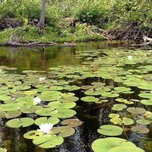 Meet your Posher, Moe